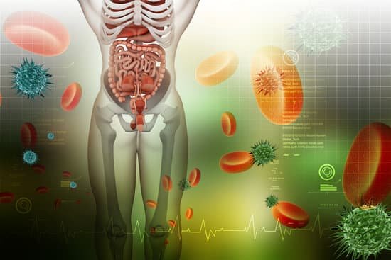 Tips for Managing Autoimmune Disease by Healing Your Gut