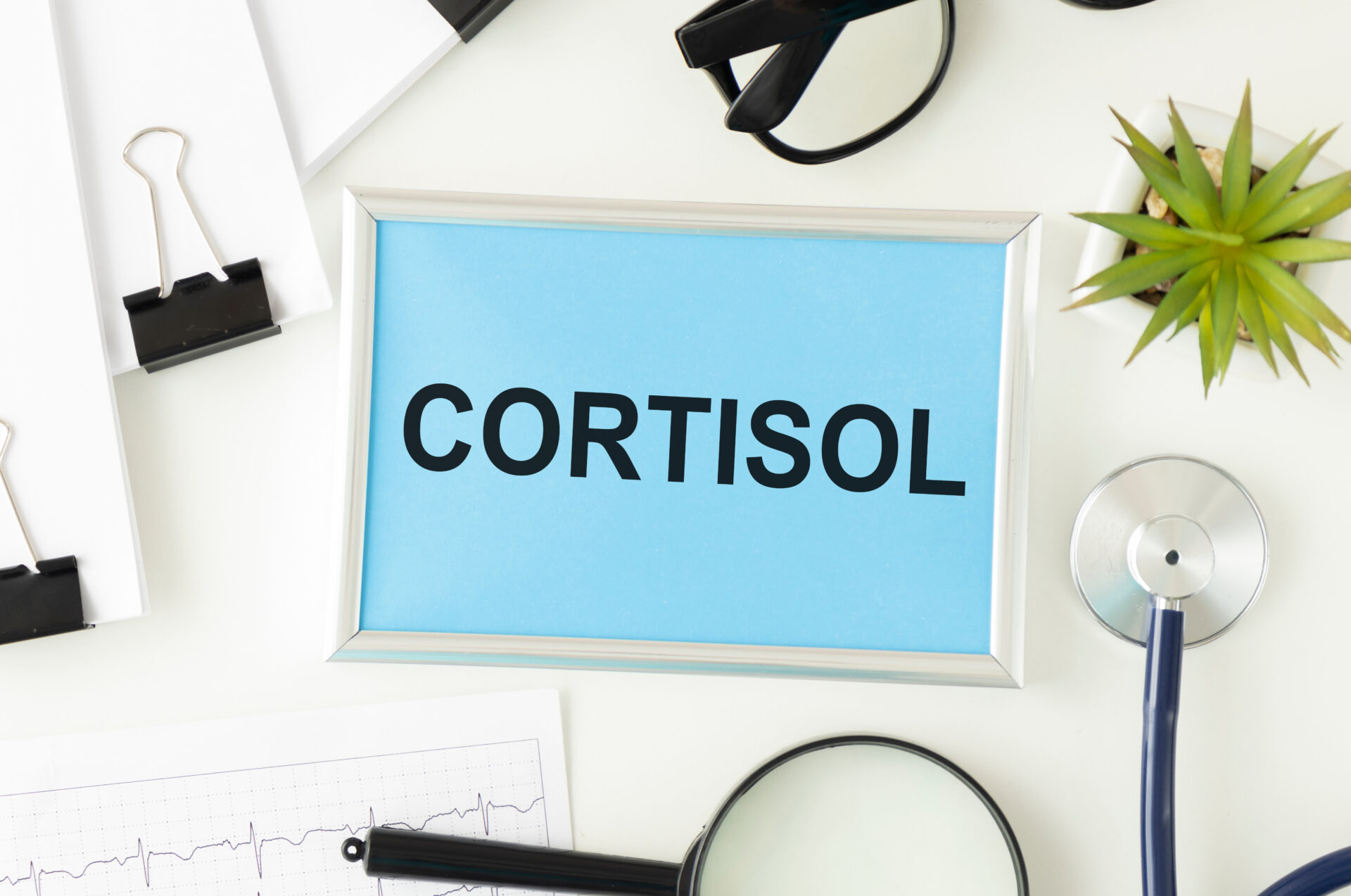 cortisol